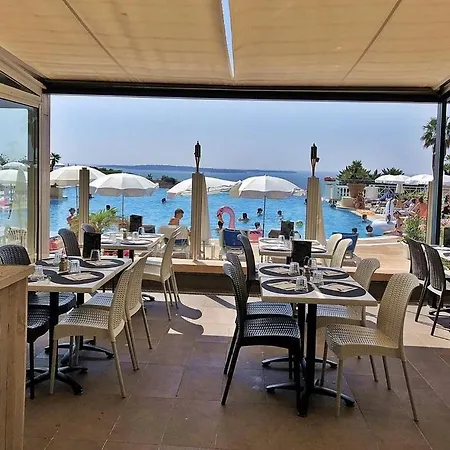 Profitez Du Festival Du Soleil De 公寓 戛纳